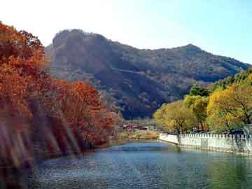 新澳天天开奖资料大全旅游团，绵竹seo快速排名软件